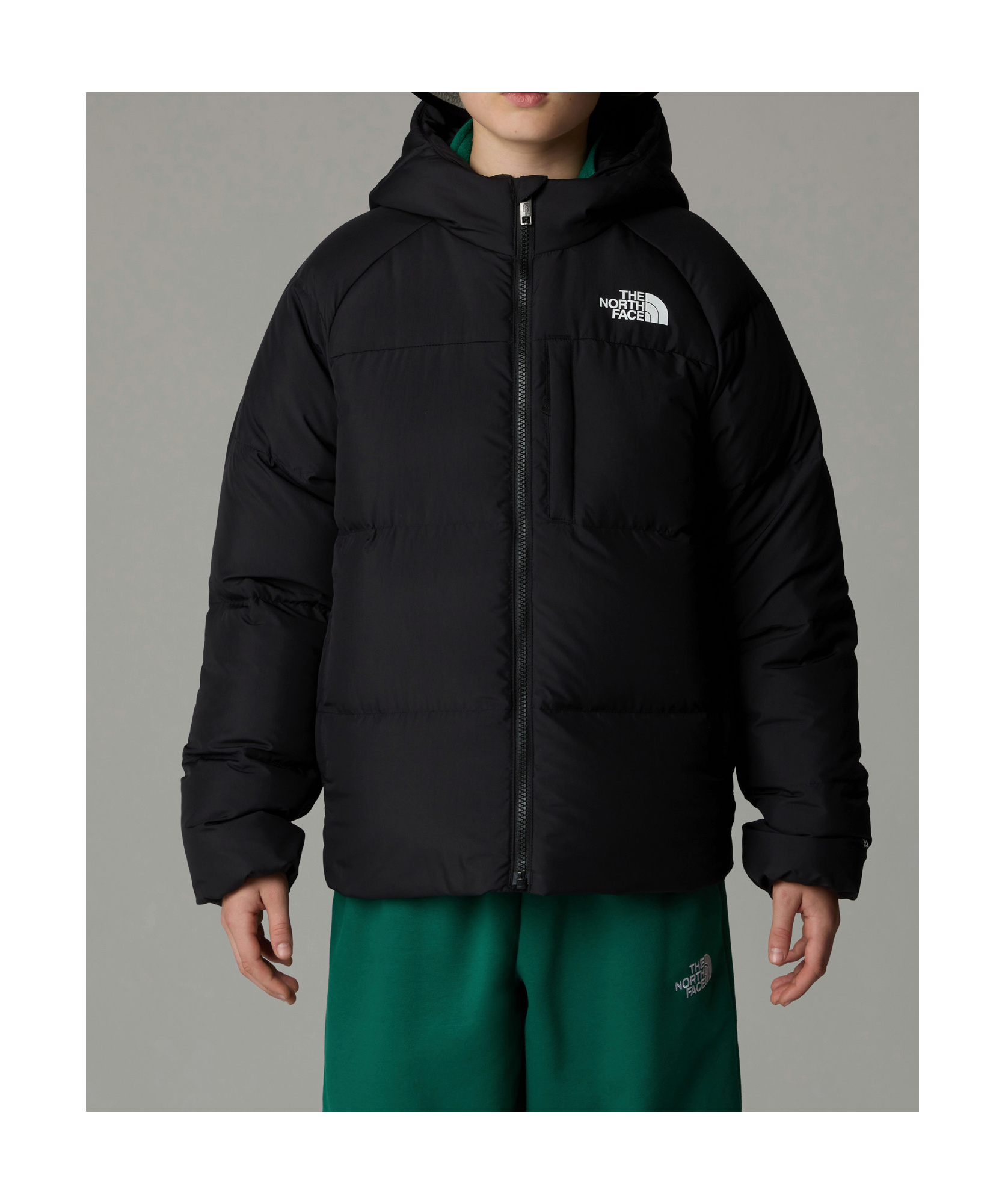The North Face North Down Hooded Down Jacket In Black