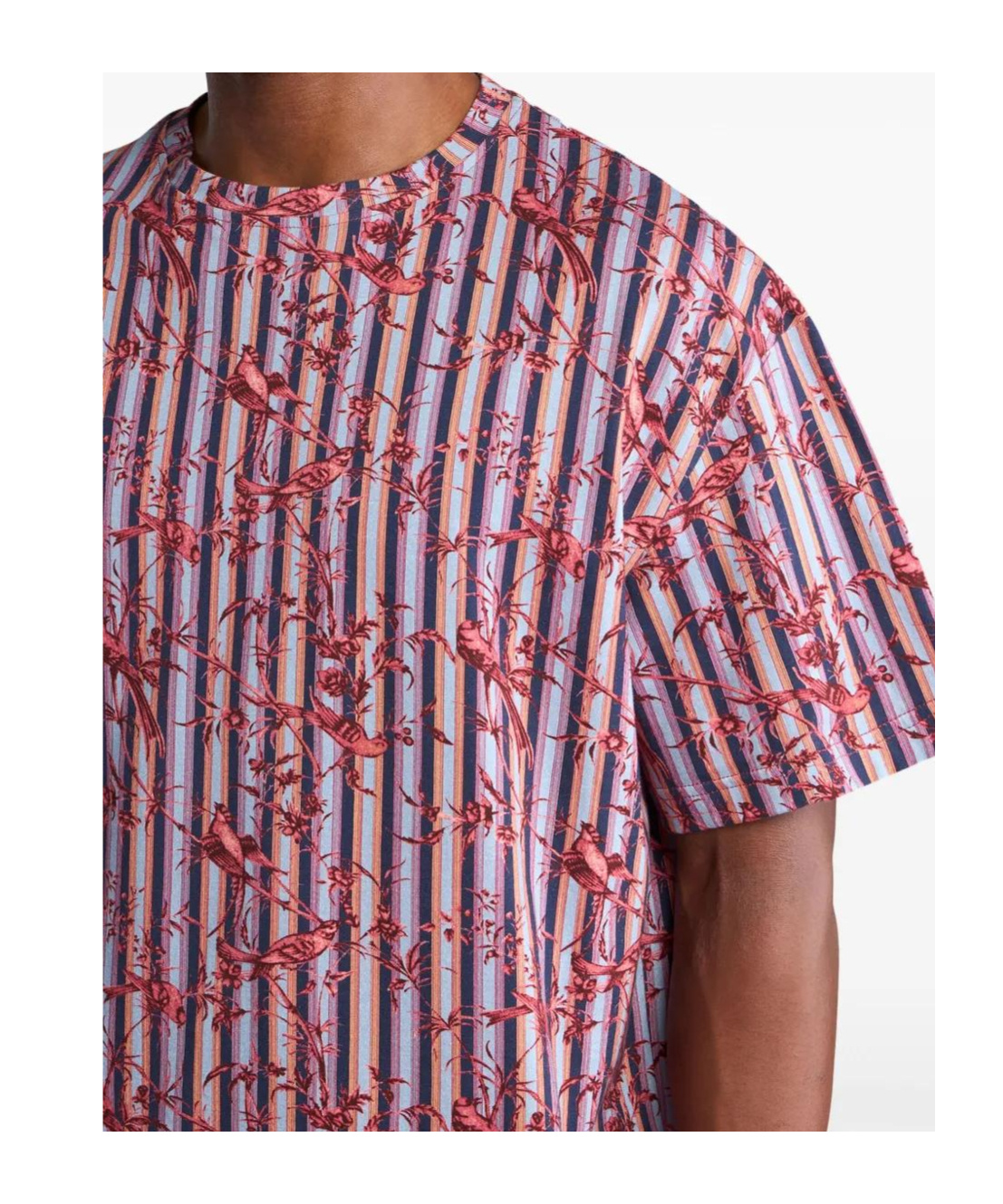 Etro Cotton T-shirt With Bird Pattern In Multi