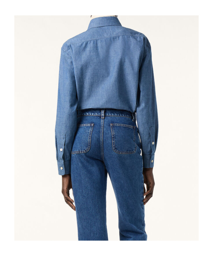 Loro Piana Wayne Shirt In Blue
