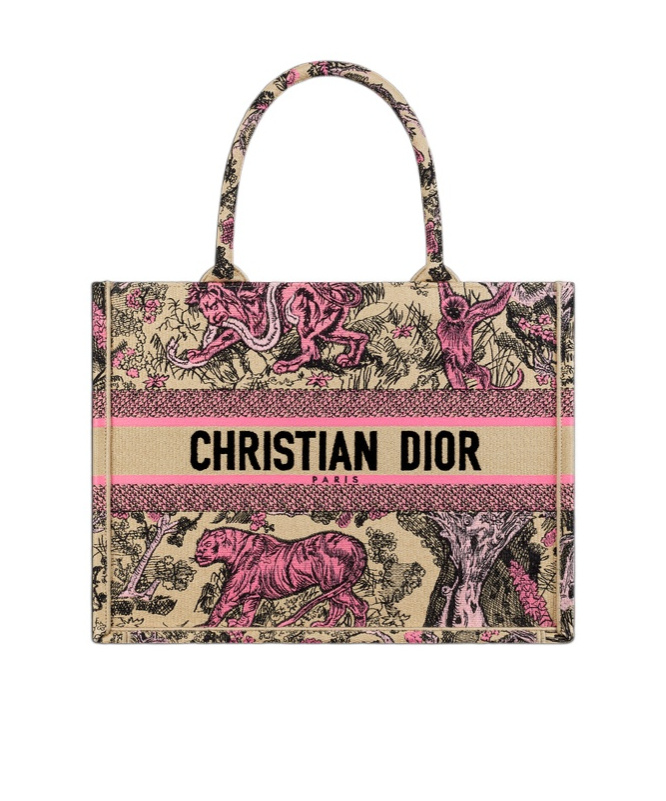 Dior Medium Iviera Handbag In Multicolor