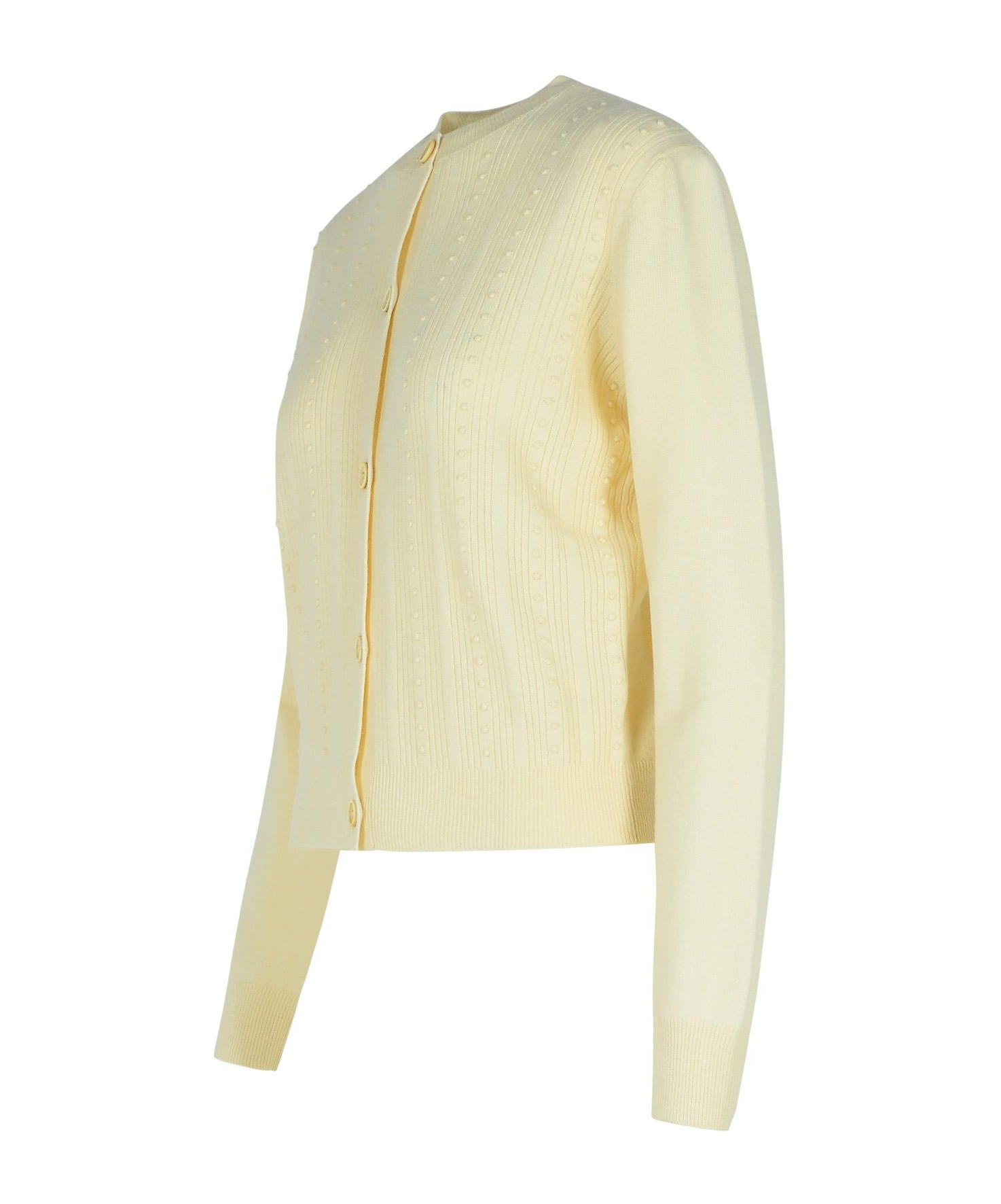 Fabiana Filippi Platinum Buttoned Knitted Cardigan In Nude