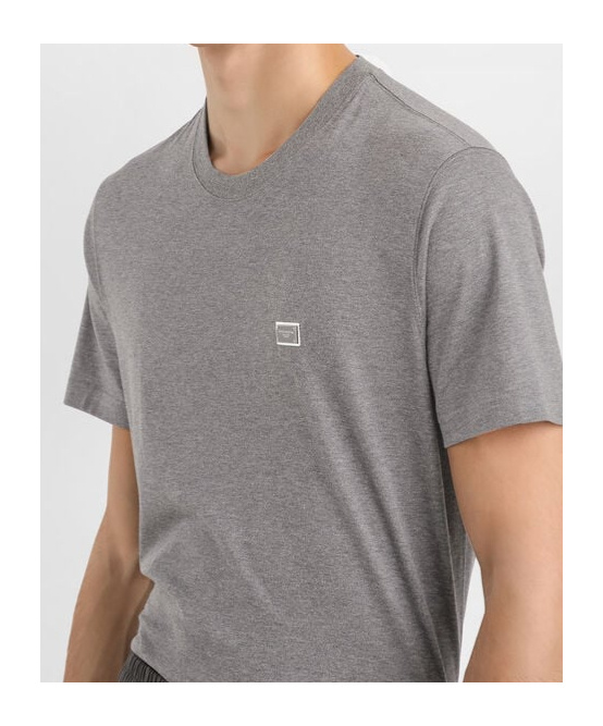 Dolce & Gabbana Cotton T-shirt With Tag In Gray