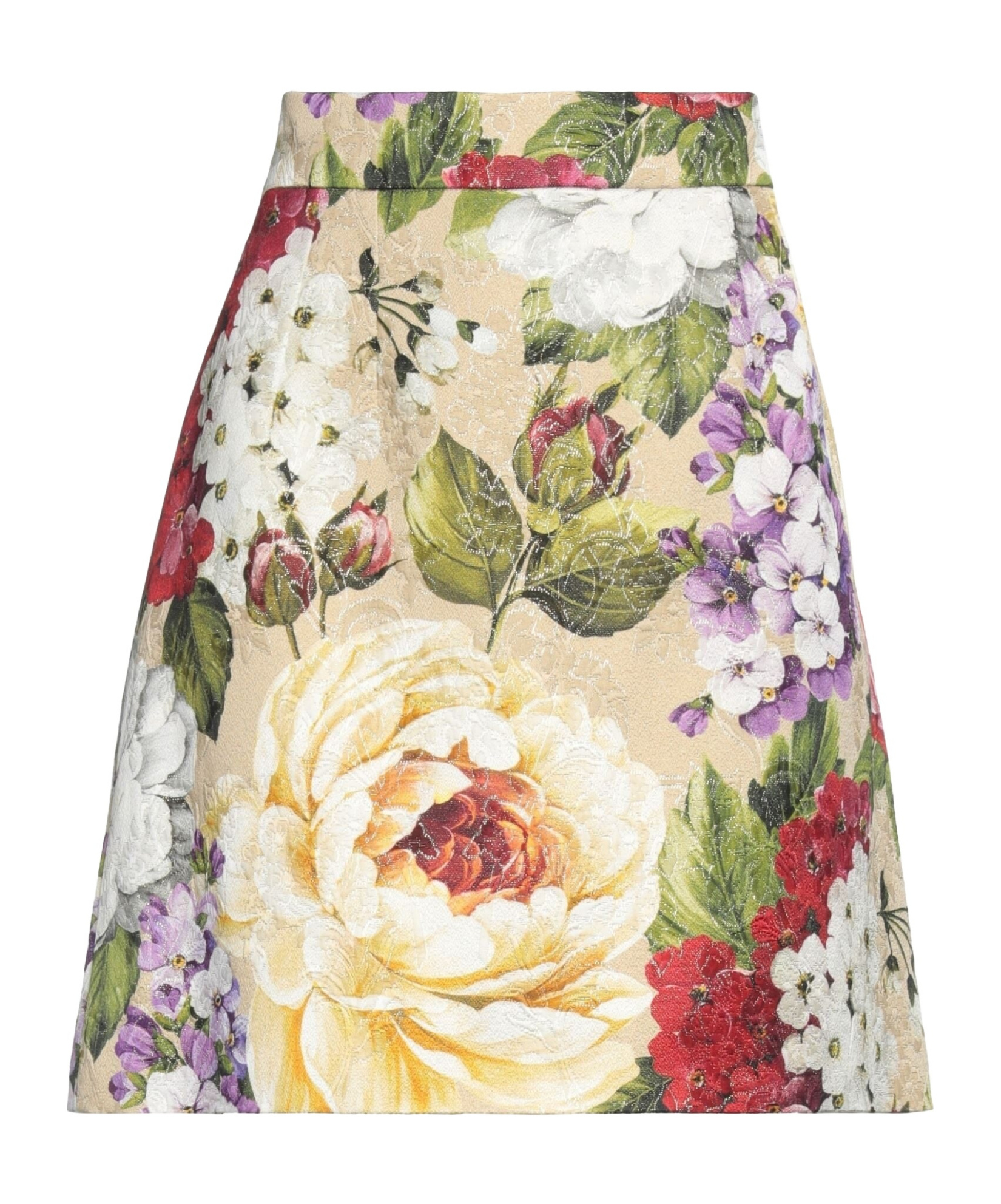 Dolce & Gabbana Mini Skirts In Green