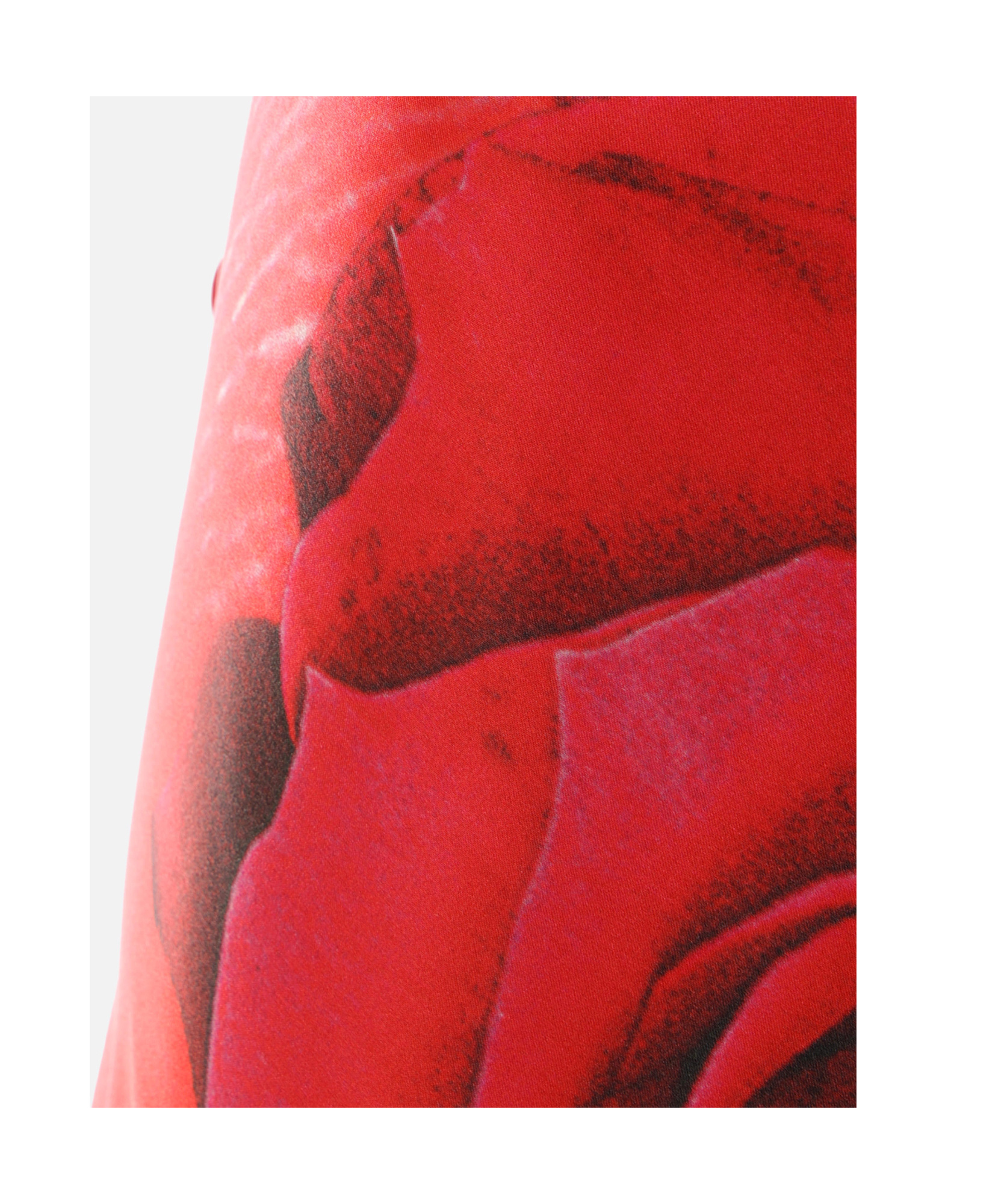 Roberto Cavalli Dress With Asymmetric Skirt And Rose Print In Red