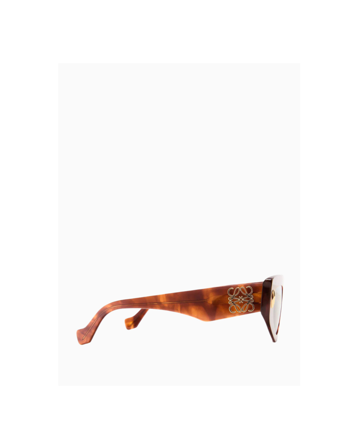Loewe Small Acetate Butterfly Screen Sunglasses In Multicolor