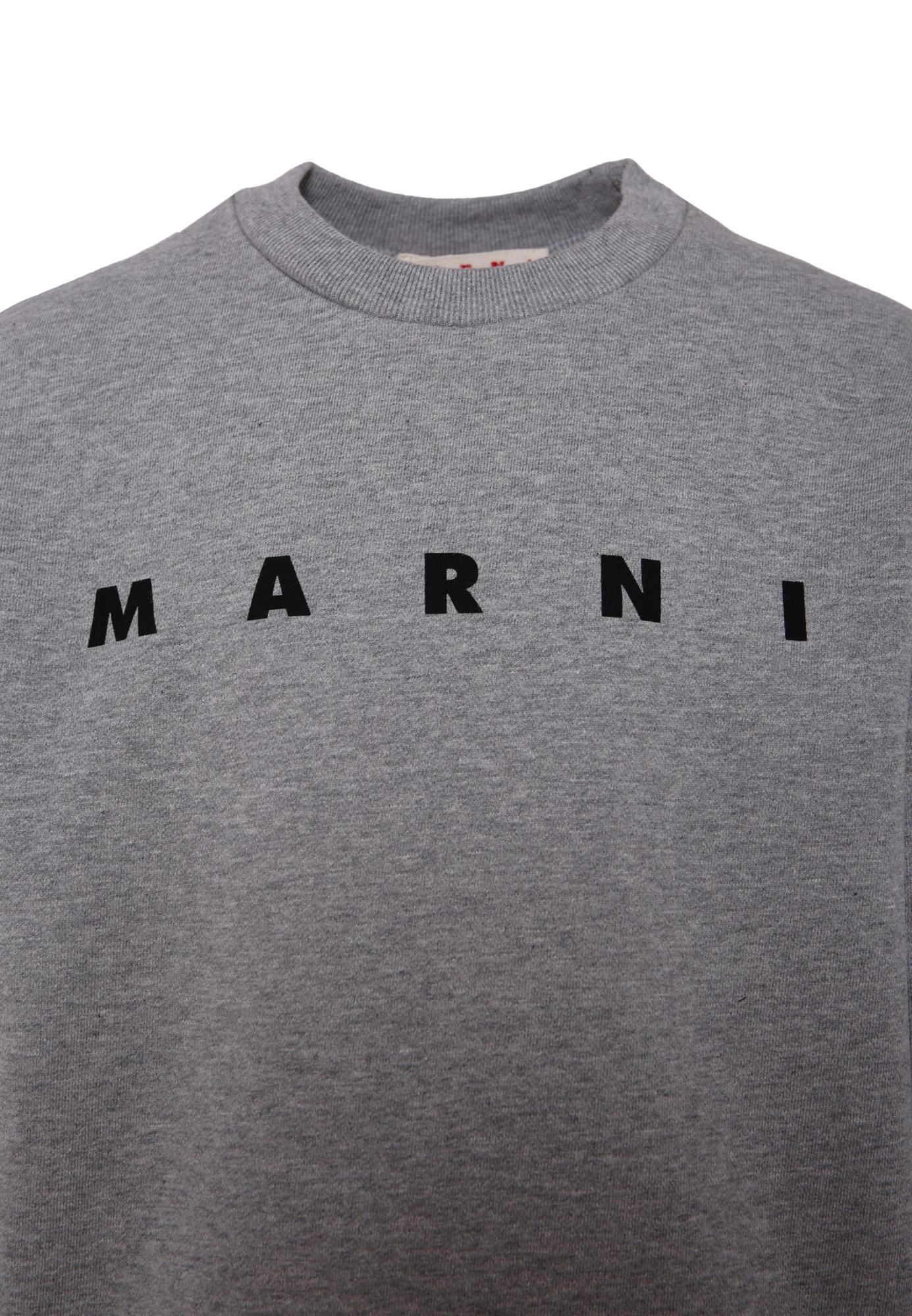 Marni Cotton Sweatshirt