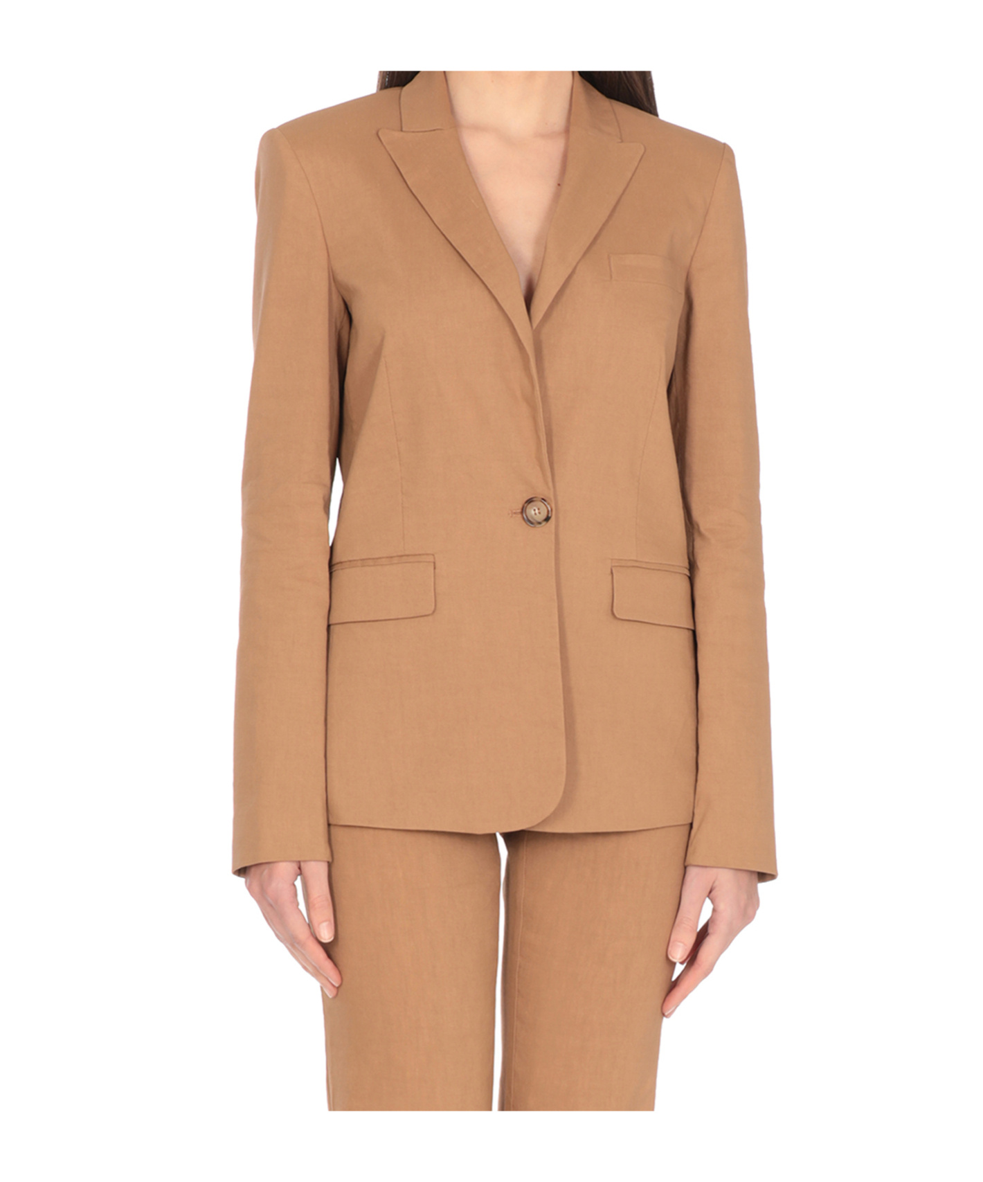Pinko Equilibrato Pantalone Blazer In Brown