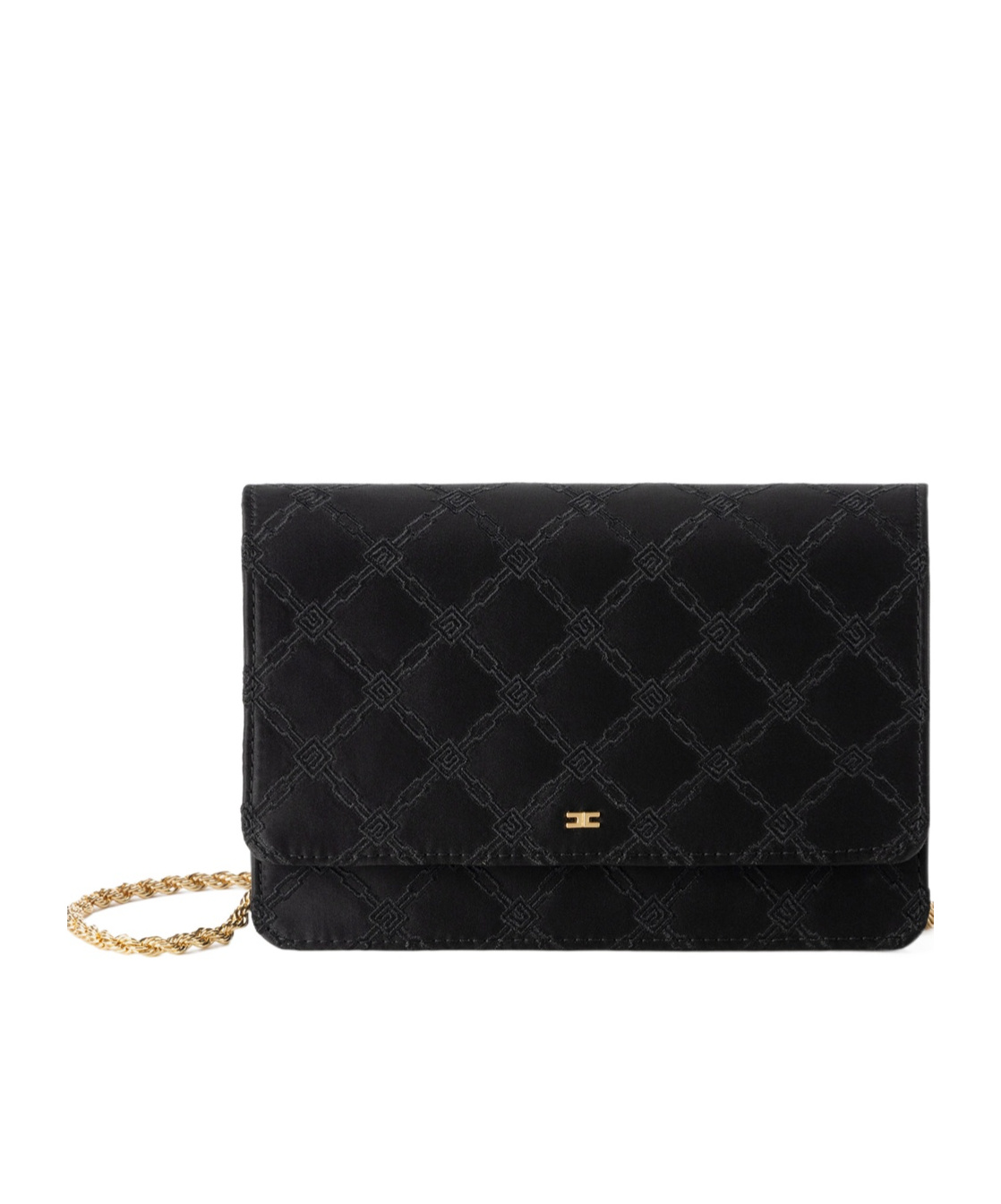ELISABETTA FRANCHI EMBROIDERED CLUTCH BAG