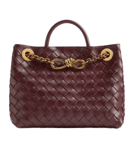 Bottega Veneta Small Andiamo Chain In Brown