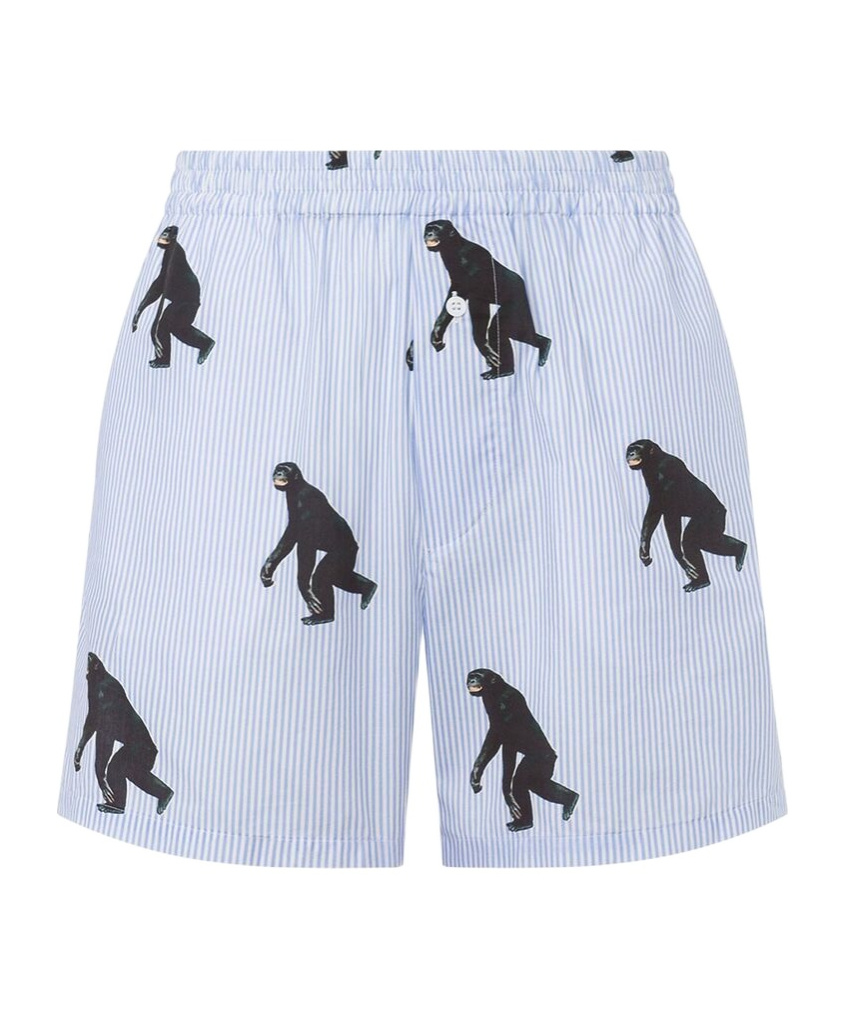 Moschino Striped Poplin Bermuda Allover Chimpanzee In Blue