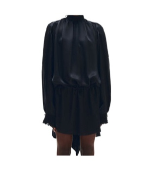 Ann Demeulemeester Jenna Turtleneck Dress In Black