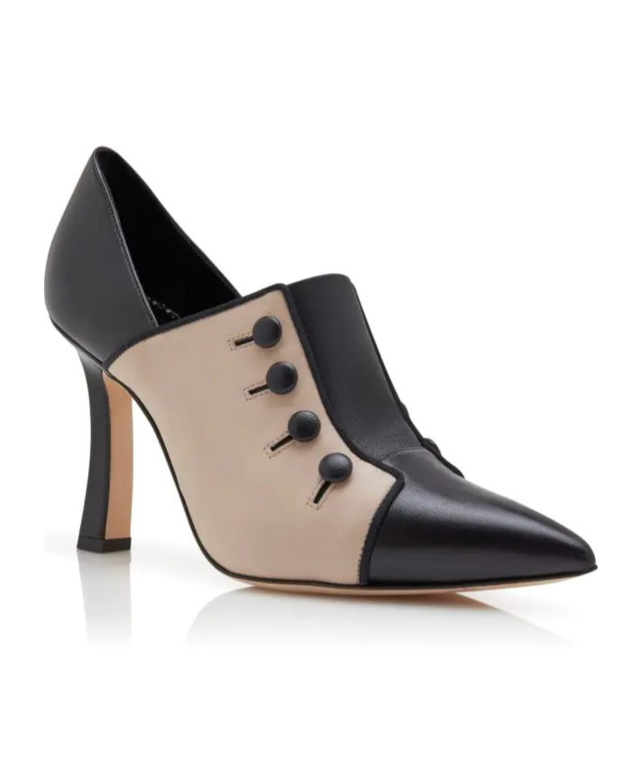 Manolo Blahnik Pointed High Heels In Brown