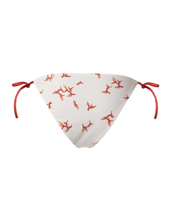 Fendi White Lycra Bikini Bottom With Coral Print In White