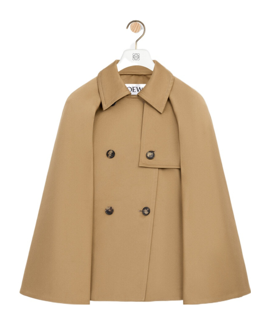 Loewe Double-breasted High-neck Coat In Brown