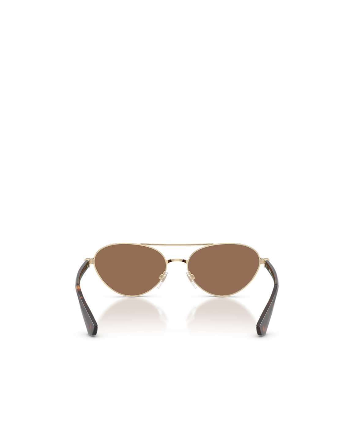 Burberry Woman Sunglass Be3165 In Brown