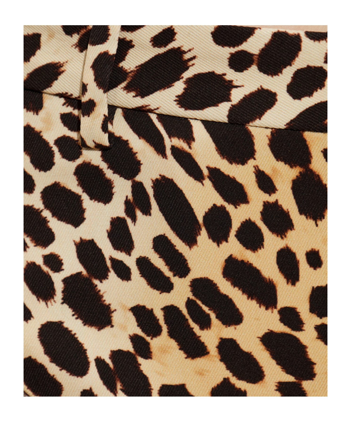 Dsquared2 X Bettter Leopard Printed Shorts In Multi