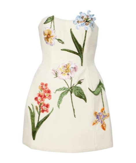 Leo Rosario Embroidered Velvet Minidress In White