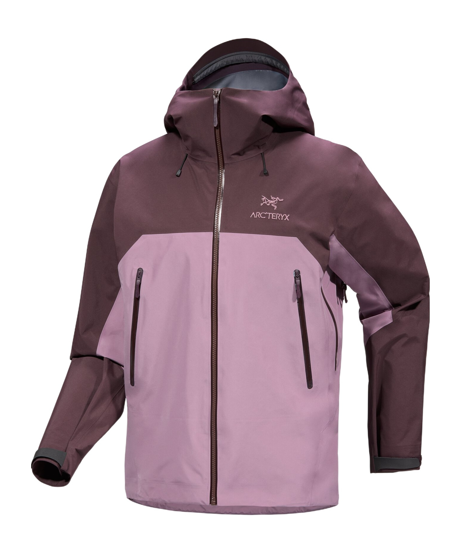Arc'teryx Beta Ar Hooded Jacket In Multicolor