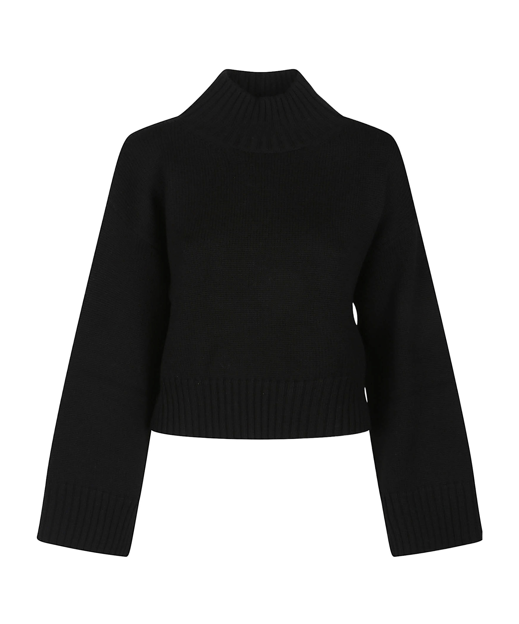 Fabiana Filippi Turtle Neck Sweater In Black