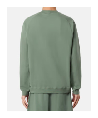 Stone Island Crewneck Sweatshirt With Star Embroidery In Green