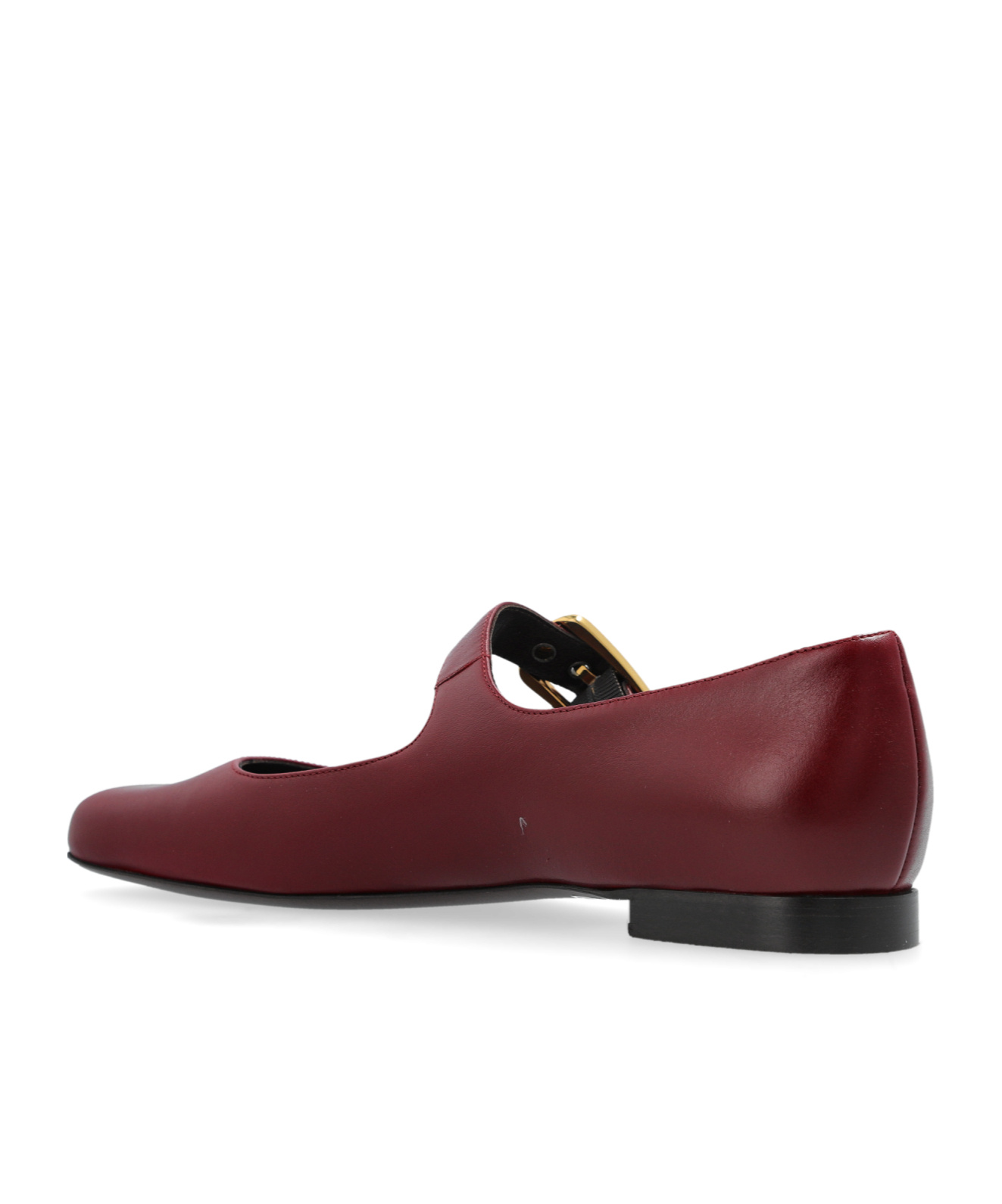 Chloé Polly Mary-jane Ballet Flats In Brown
