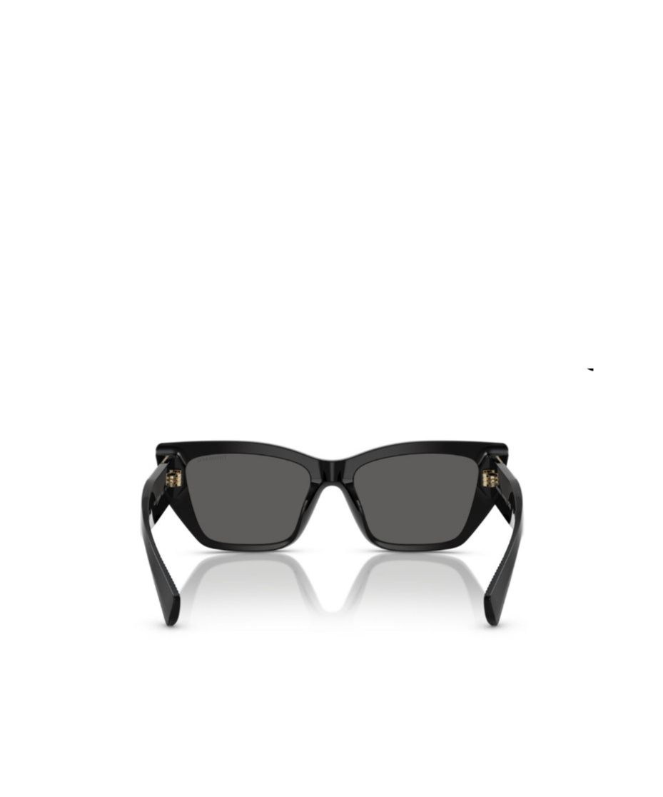 Tiffany & Co Full Frame Sunglasses In Black