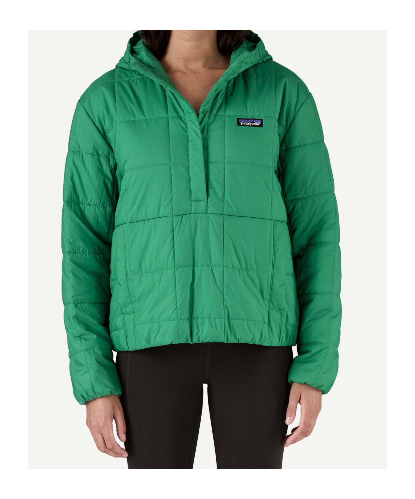 Patagonia Women's Light Gust Hooded Pullover In Green