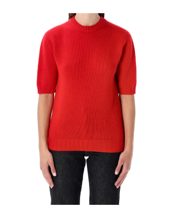 Fabiana Filippi Short-sleeved Cashmere Sweater With Ribbed Trims In Red