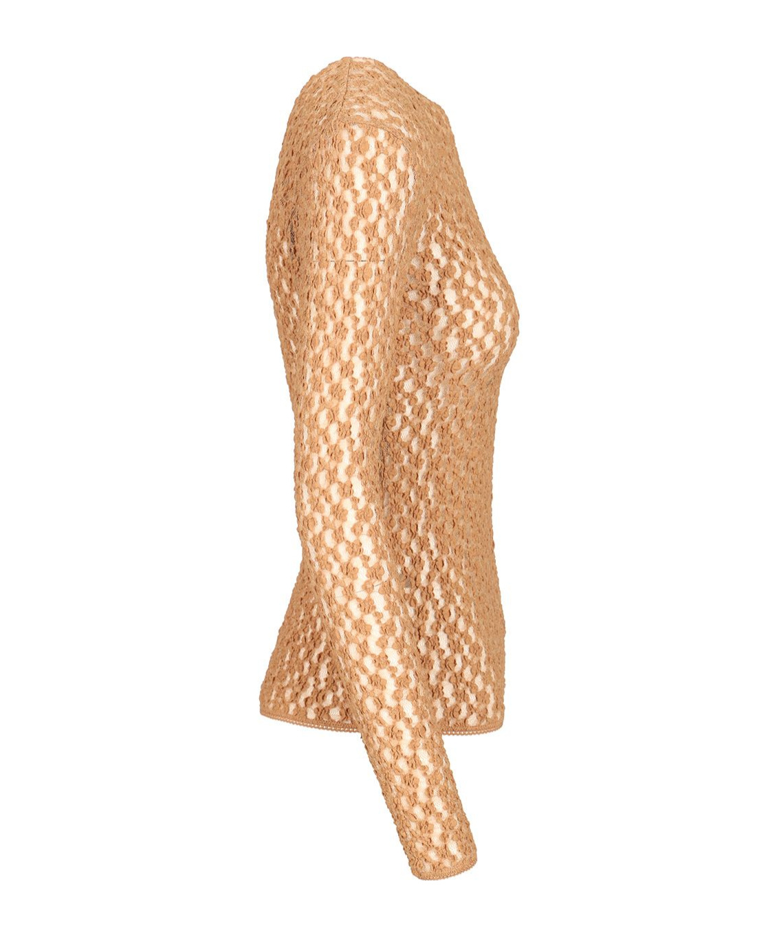Isabel Marant Gaelle Long-sleeved Lace Top In Brown