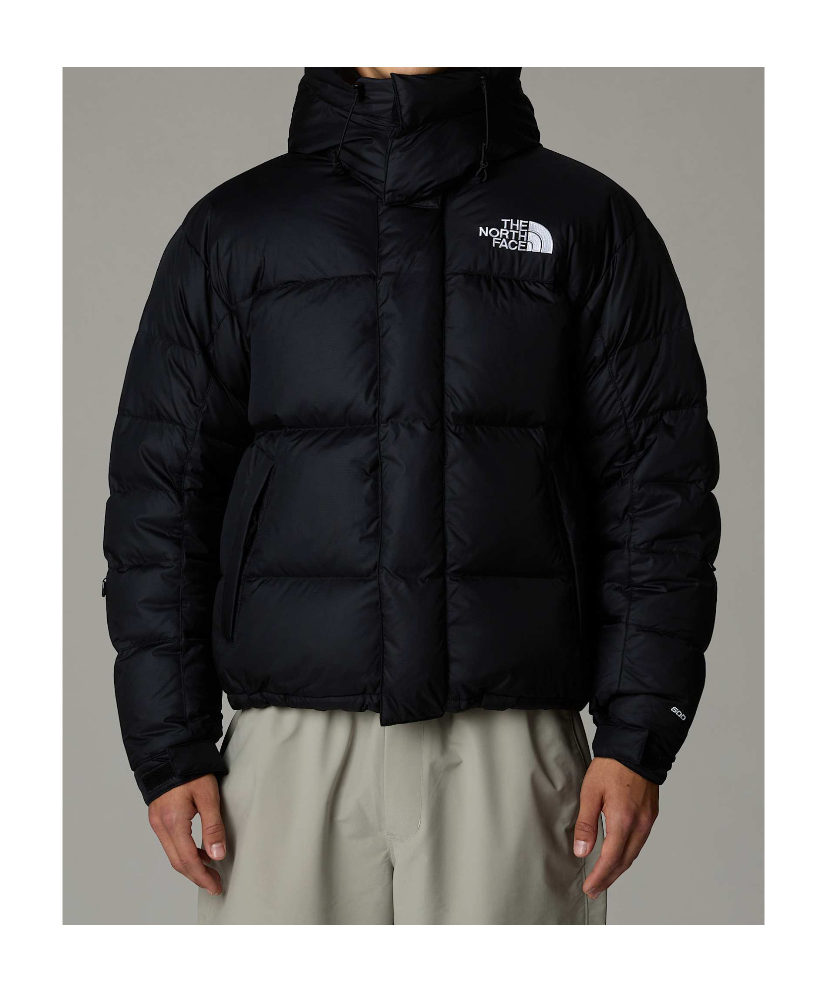 THE NORTH FACE HIMALAYAN BALTORO JACKET 