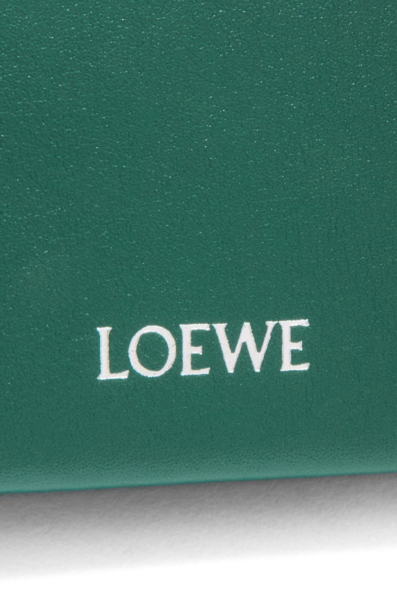 Loewe Trifold Zip Wallet In Green