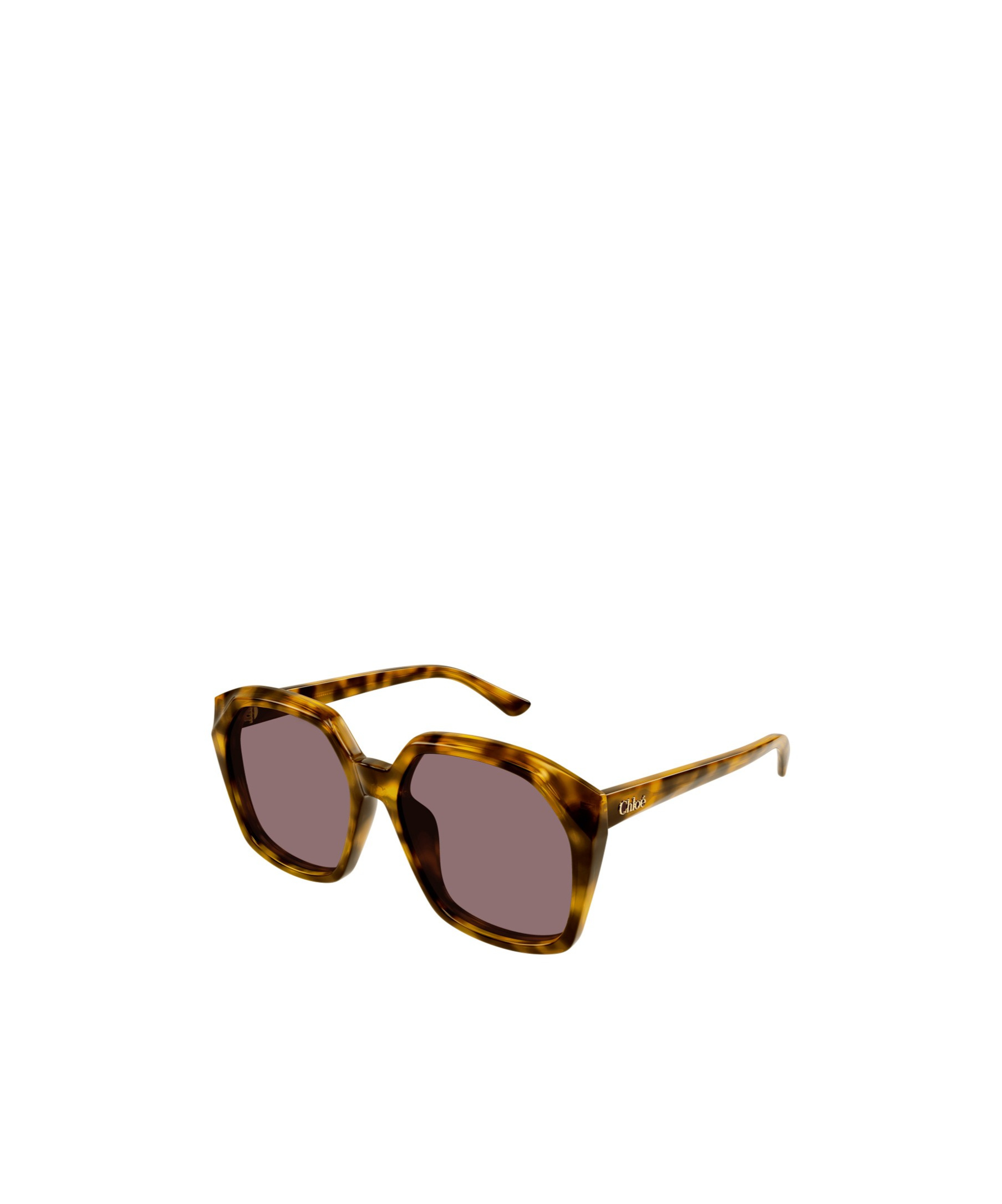 Chloé Salome Sunglasses In Gray