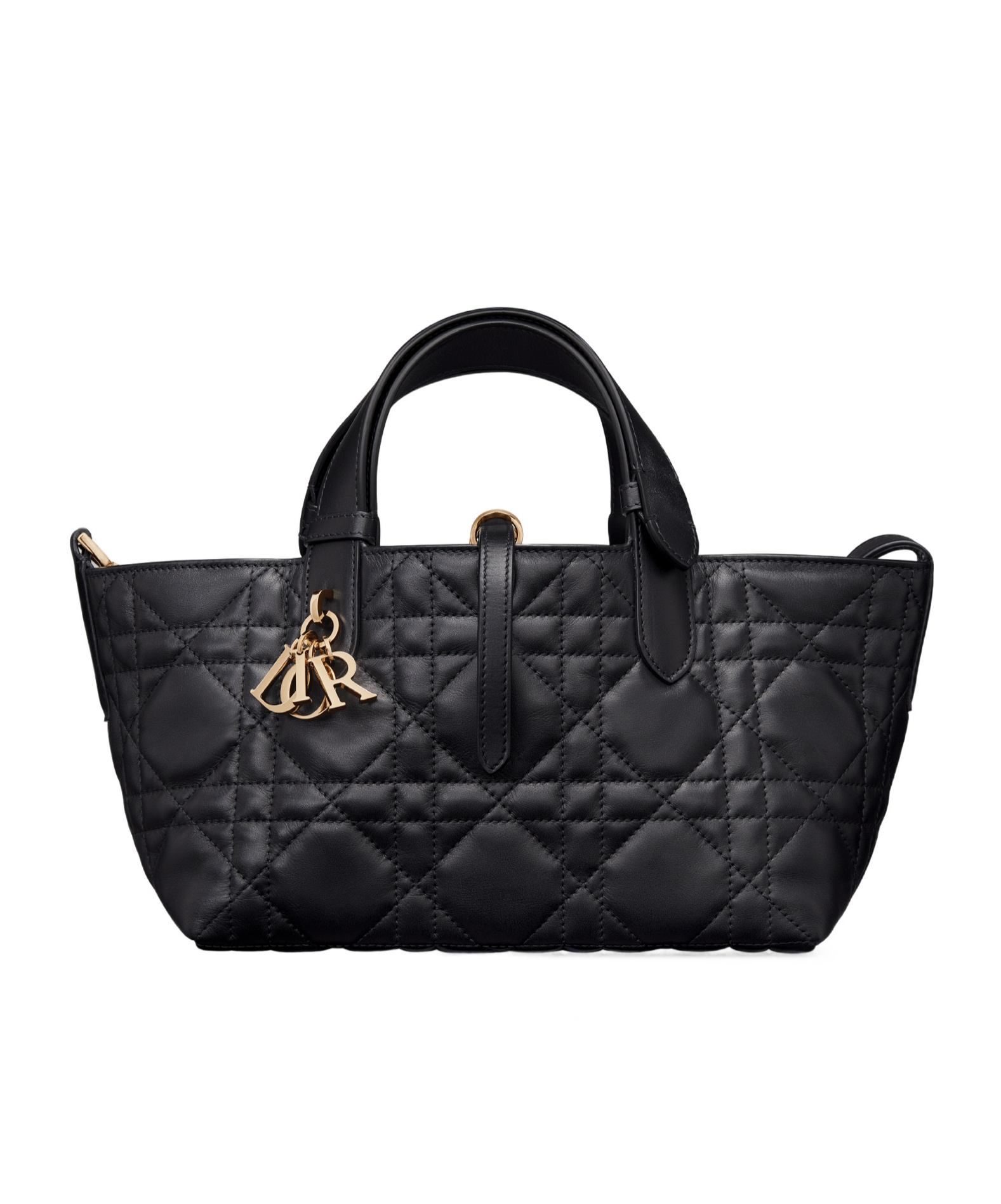 Dior Small  Toujours Bag