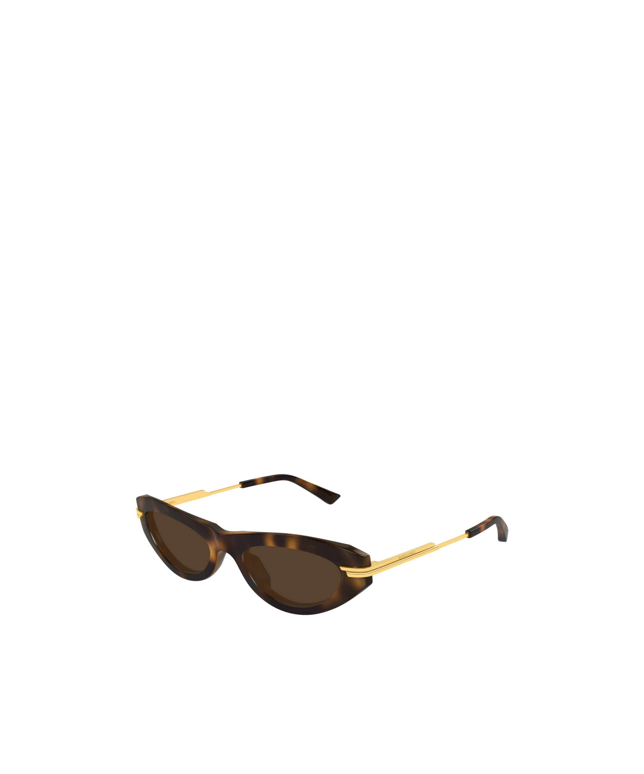 Shop Bottega Veneta Eyewear Panthos Frame Sunglasses In Brown