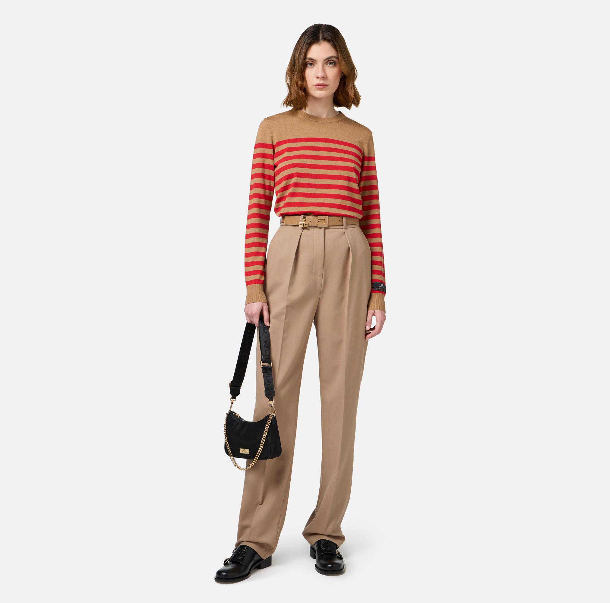 Elisabetta Franchi Wool Pleated Casual Pants In Brown