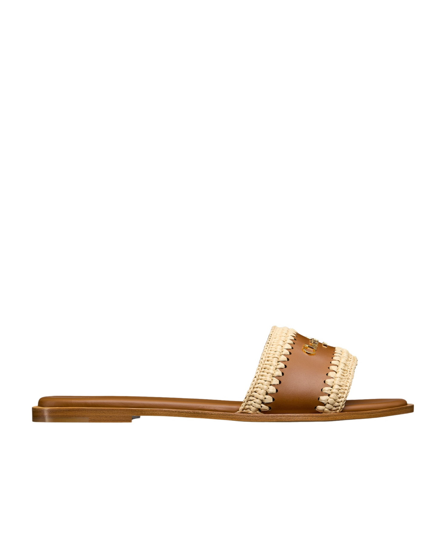Dior Iviera D-lane Slide In Brown