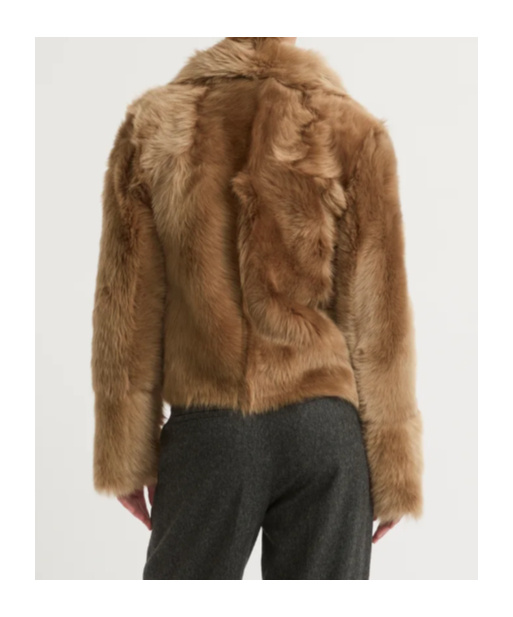 Shop Yves Salomon Shearling Stand Up-collar Jacket In Brown