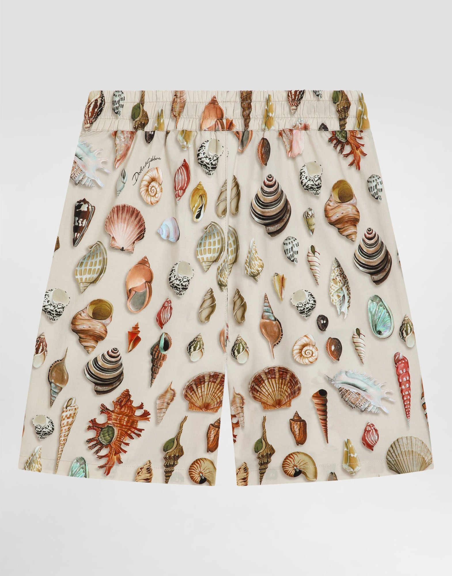 Dolce & Gabbana Printed Shorts In Multi