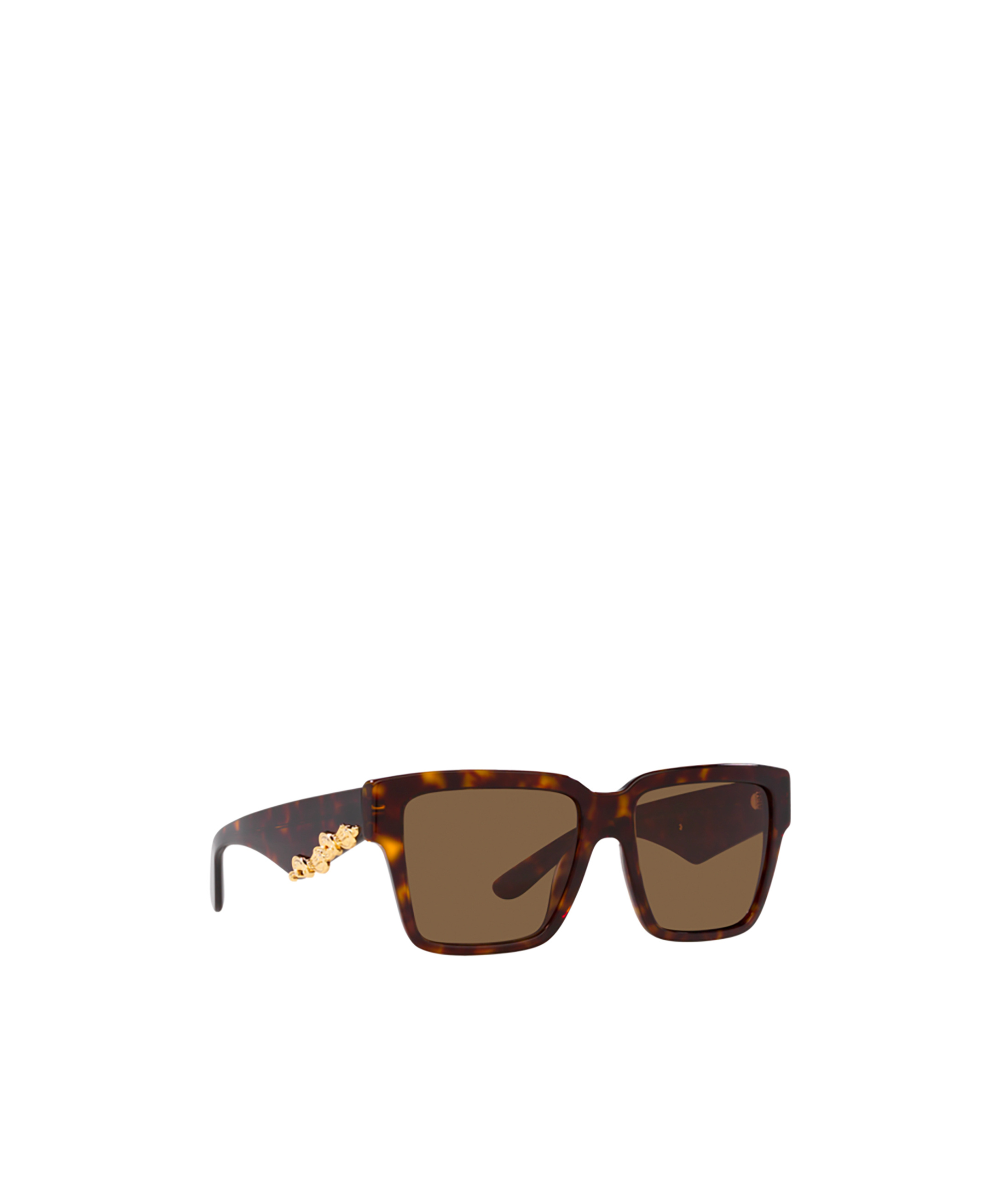 Dolce & Gabbana Frame Sunglasses In Havana