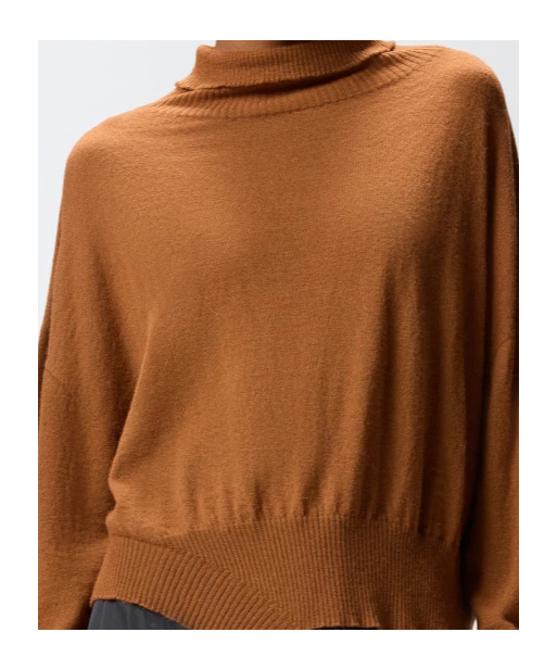 Pinko Knitted Turtleneck Sweater In Brown