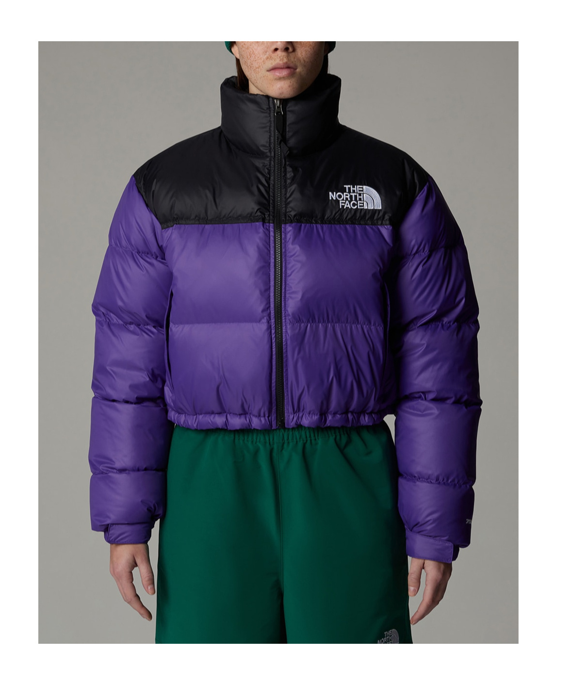 THE NORTH FACE NUPTSE SHORT JACKET