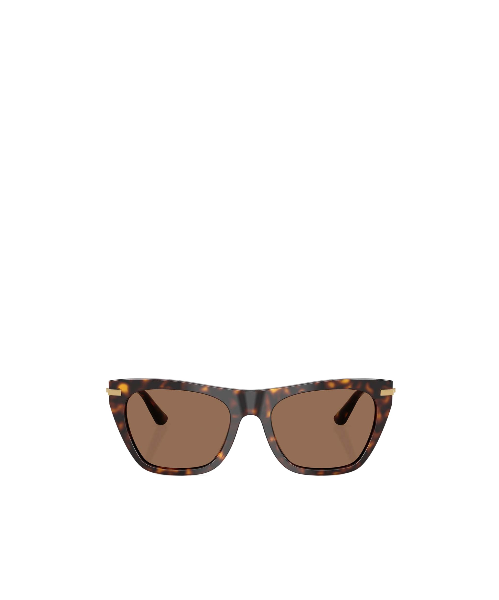 Dolce & Gabbana Full Frame Sunglasses In Brown