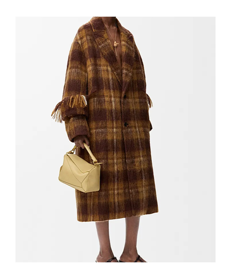 Loewe Coat In Mohair And Wool Blend In Multi