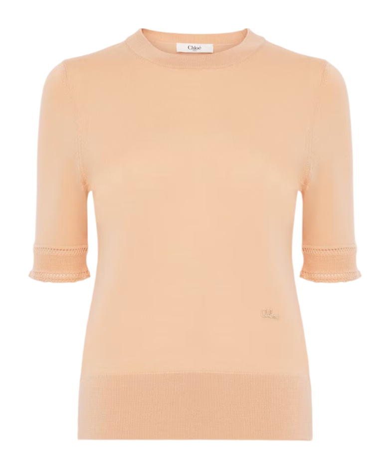 Chloé Short-sleeve Sweater In A Wool Knit In Brown