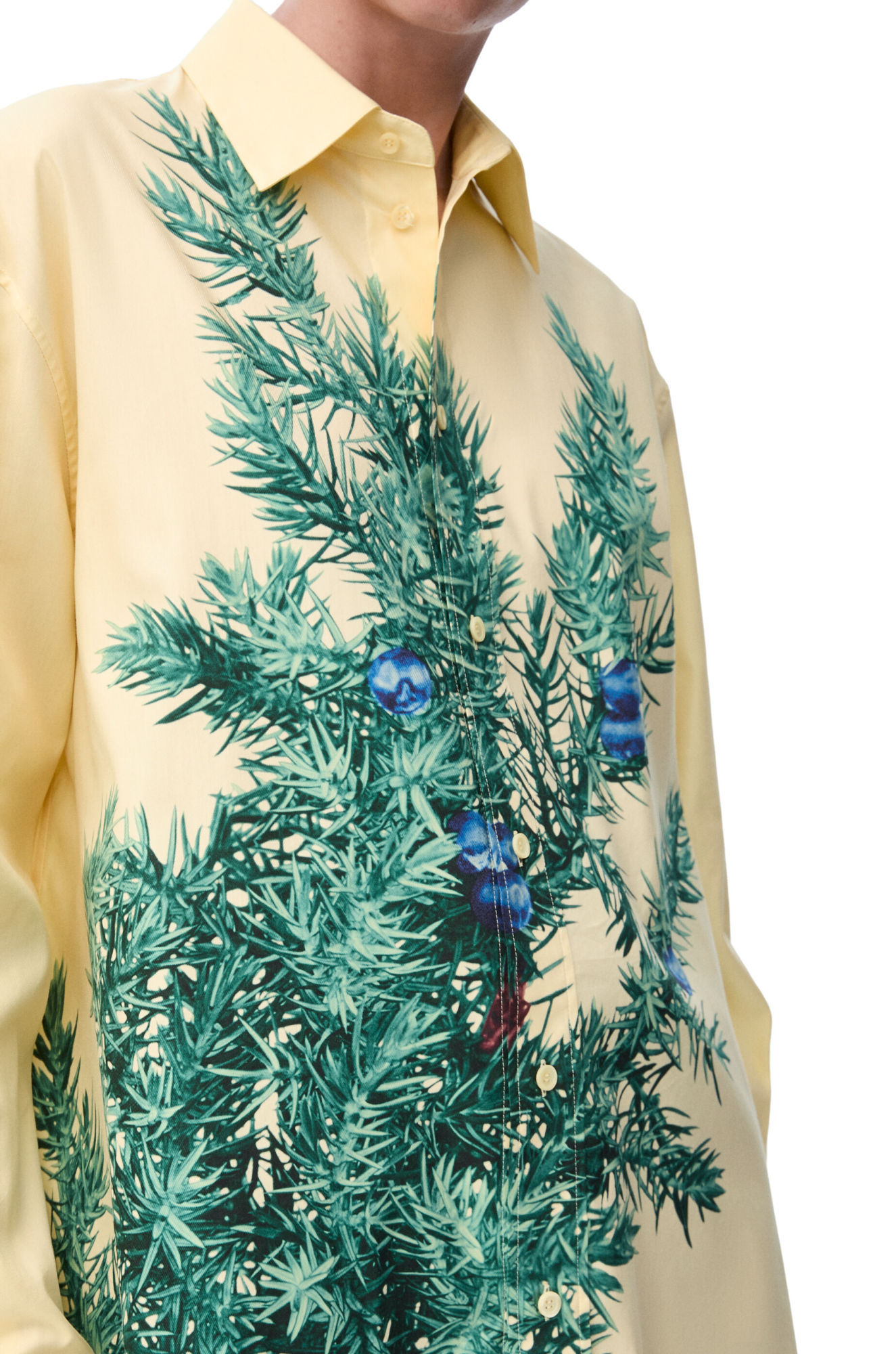 Loewe Long-sleeved Shirt In Nude