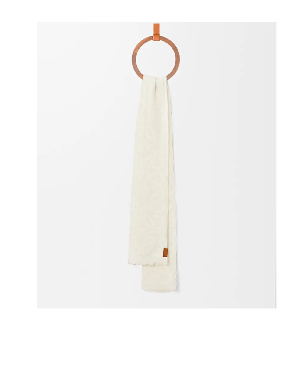 Loewe Wool And Silk Scarves