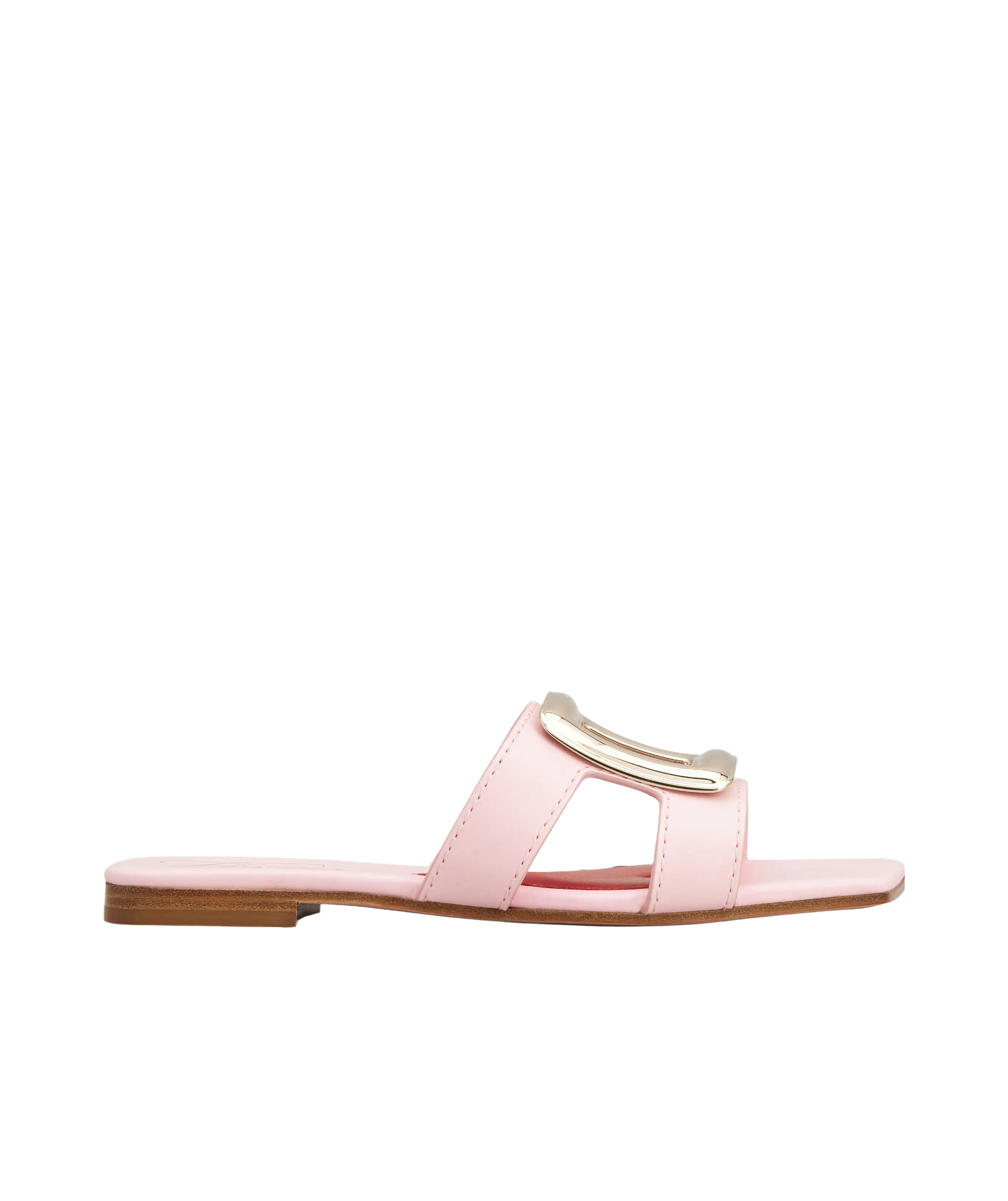 Roger Vivier 5mm New Metal Buckle Leather Slide Flats In Pink