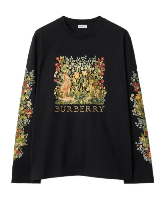 Burberry Long-sleeve Forest Cotton T-shirt In Brown