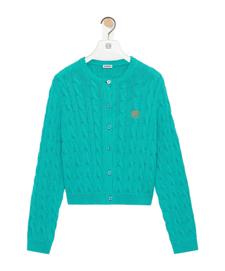 Loewe Long-sleeved Cardigan In Blue