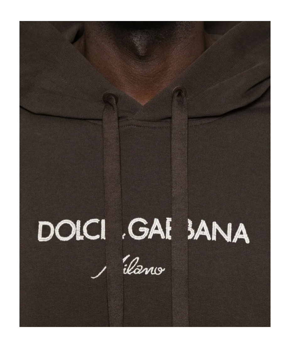 Dolce & Gabbana Embroidered Hoodie In Brown